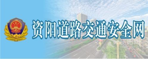 插比网站资阳道路交通安全网